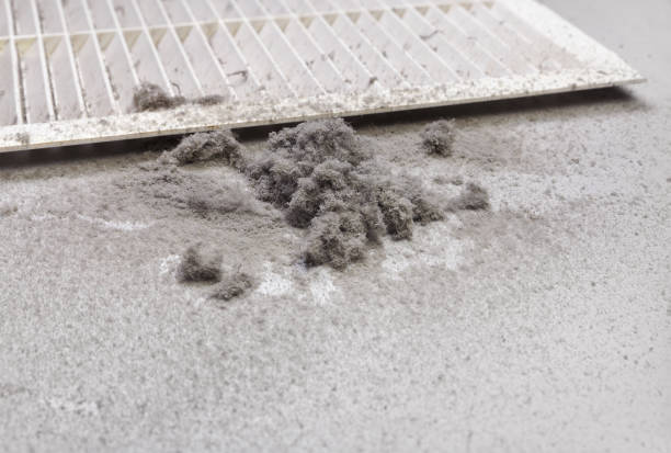 Best Emergency Air Duct Cleaning  in Coyne Center, IL
